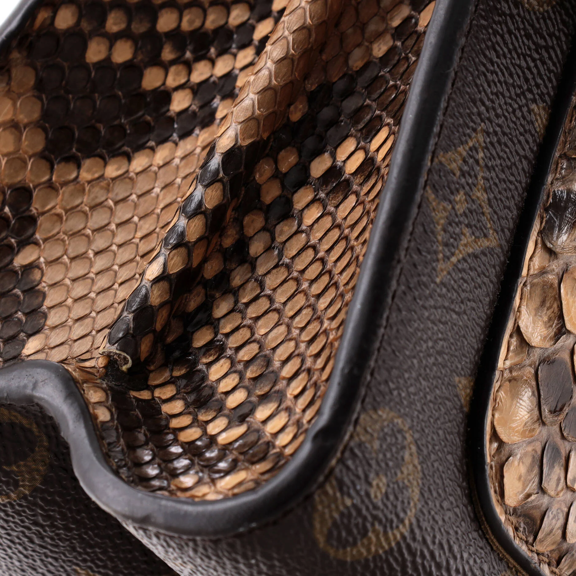 Victoire Handbag Monogram Canvas and Python - Image 6